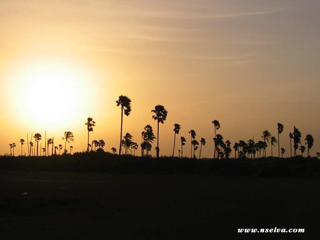 Sai Holiday Inn Jaffna Exterior photo